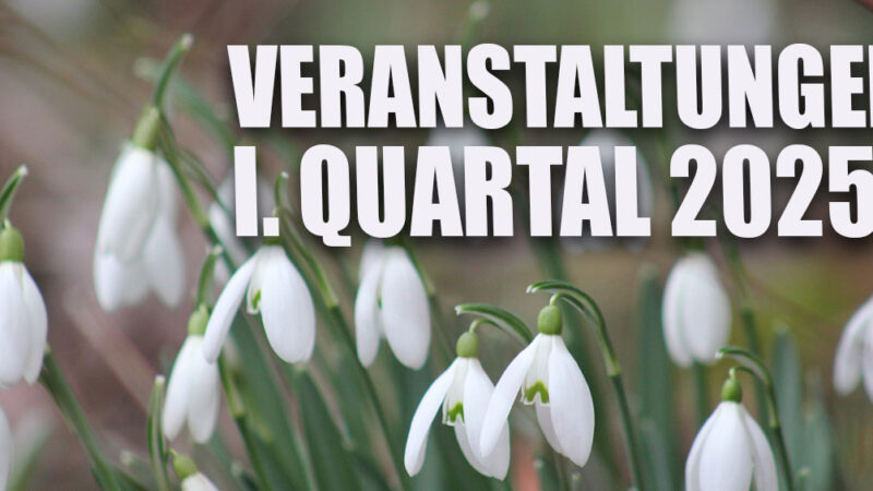 Veranstaltungen I. Quartal 2025