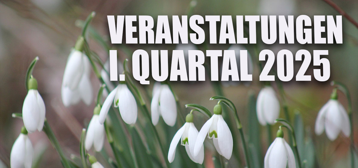 Veranstaltungen I. Quartal 2025